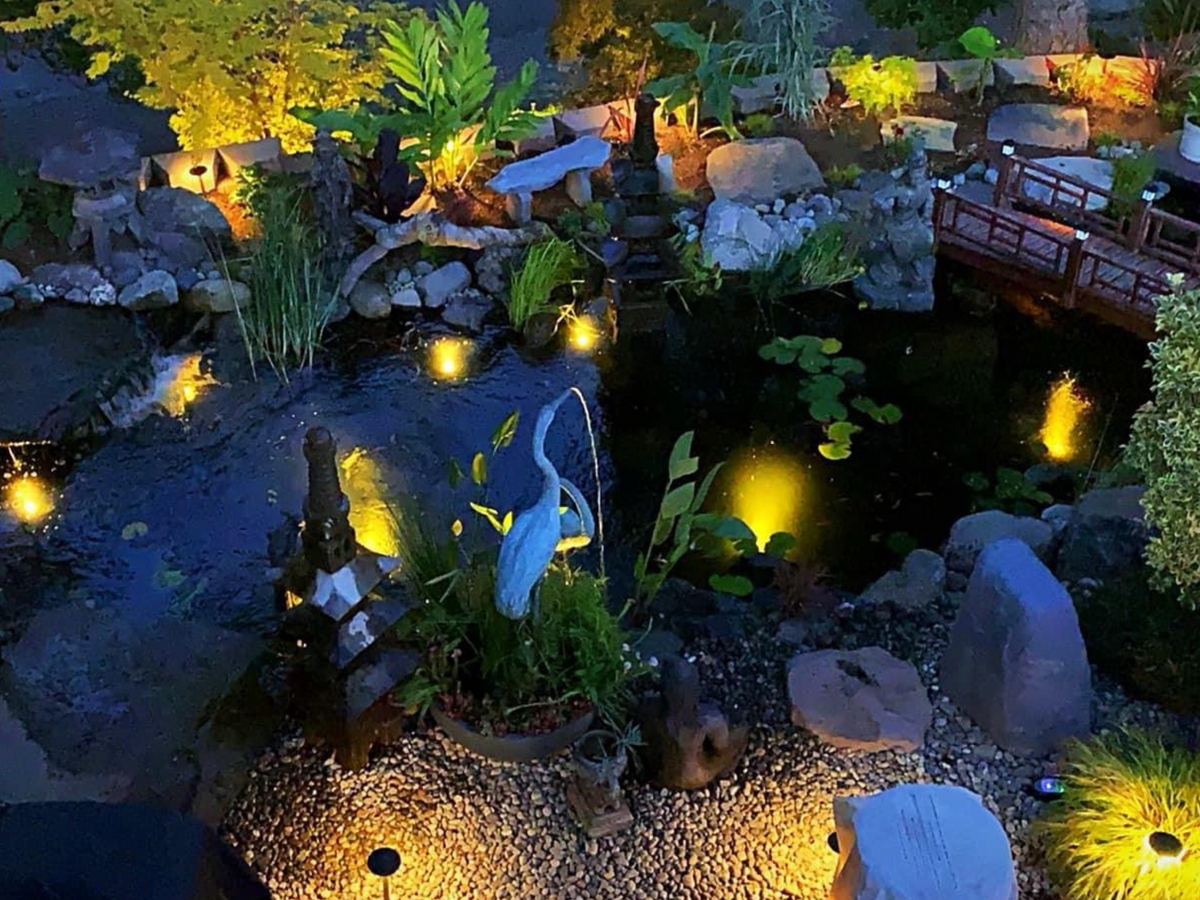 Ashly Berg's koi pond at night from above, with underwater lights under the lily pads, a heron statue spraying water, boulders and a wooden bridge