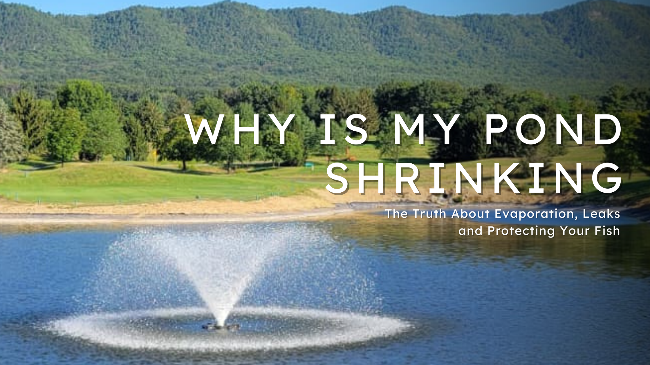 Why Is My Pond Shrinking?