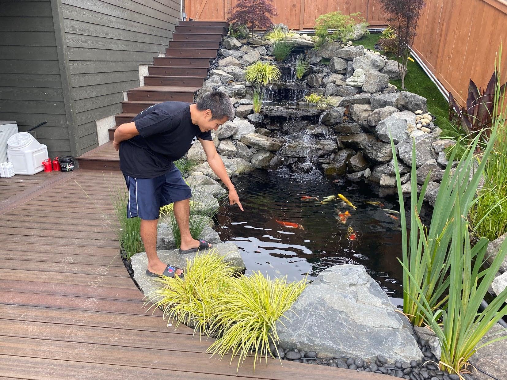 Billy Ngo's "No Maintenance" Koi Pond - Play It Koi