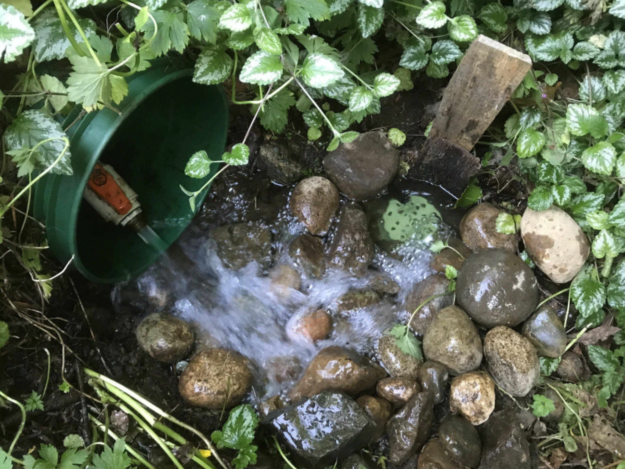 Pond Plumbing - Waste System