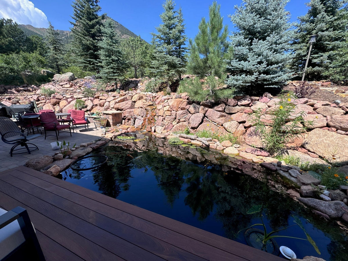 Tim Jardeleza's finished natural koi pond seen from his hardwood deck, with a waterfall down a red granite boulder wall, a stone patio, pines and a mountain behind