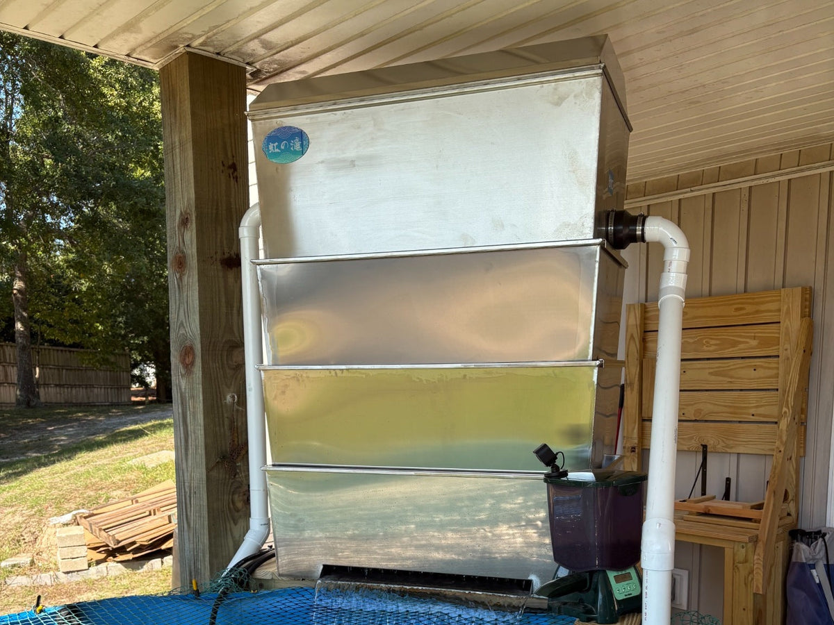 From Unboxing to Crystal-Clear Water: My Niji-no-Taki Build Out Experience