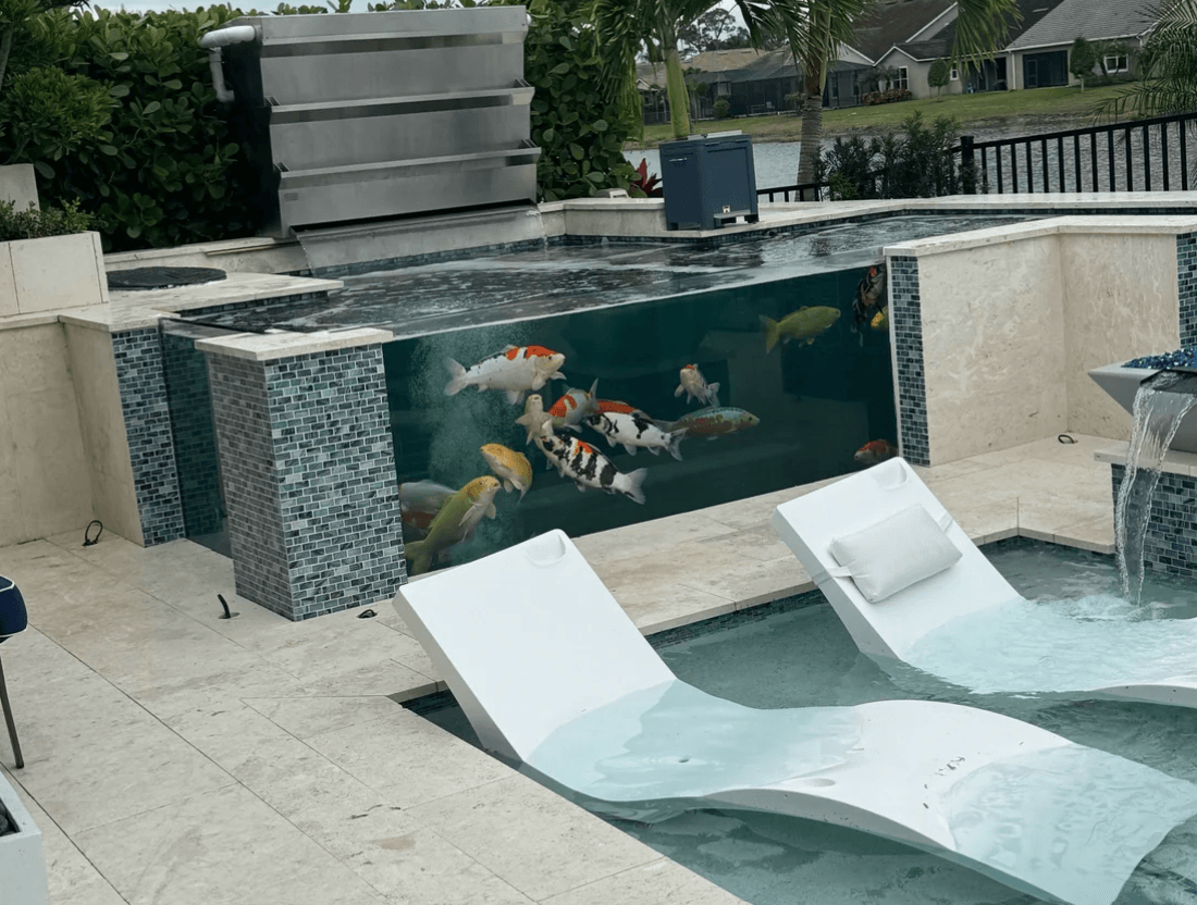 Koi swimming behind the long acrylic viewing window of Cap'n Brien Spina's raised concrete koi pond, beside a swimming pool with in-pool loungers