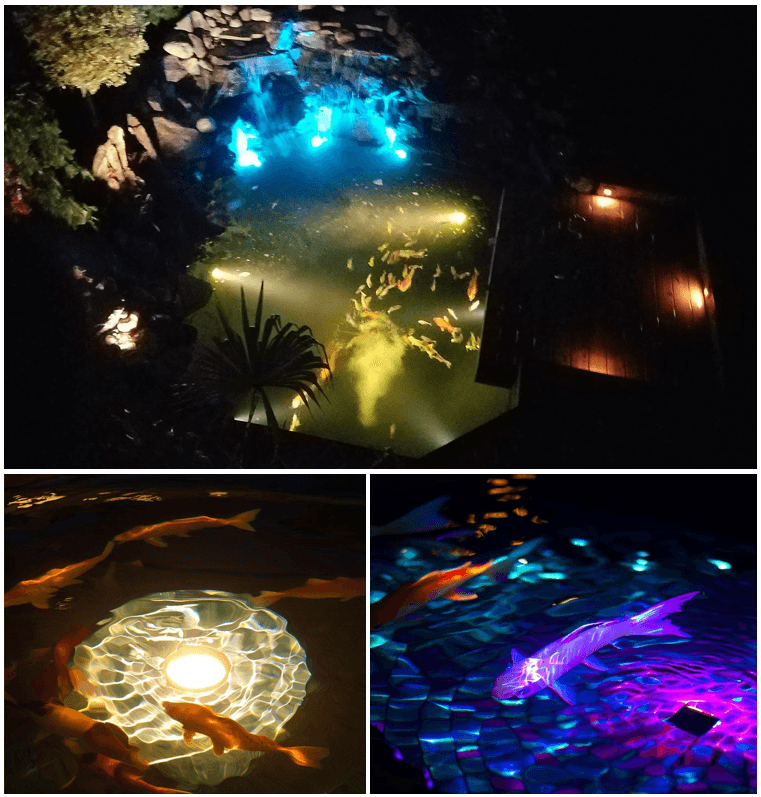 Pond Lighting - Play It Koi