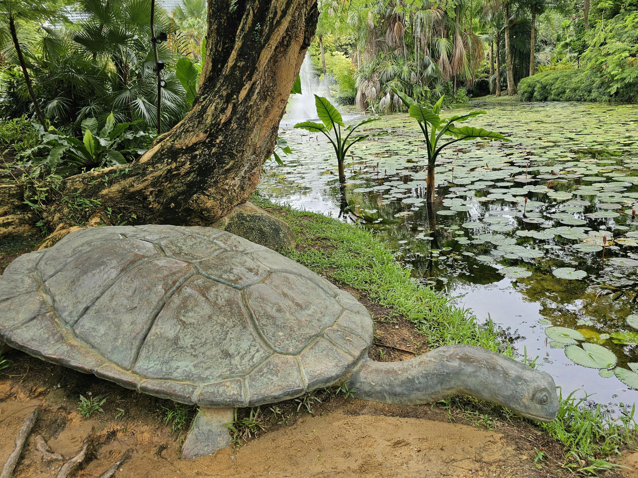 Pond System Resilience – Mitigation, by Jeff Richardson