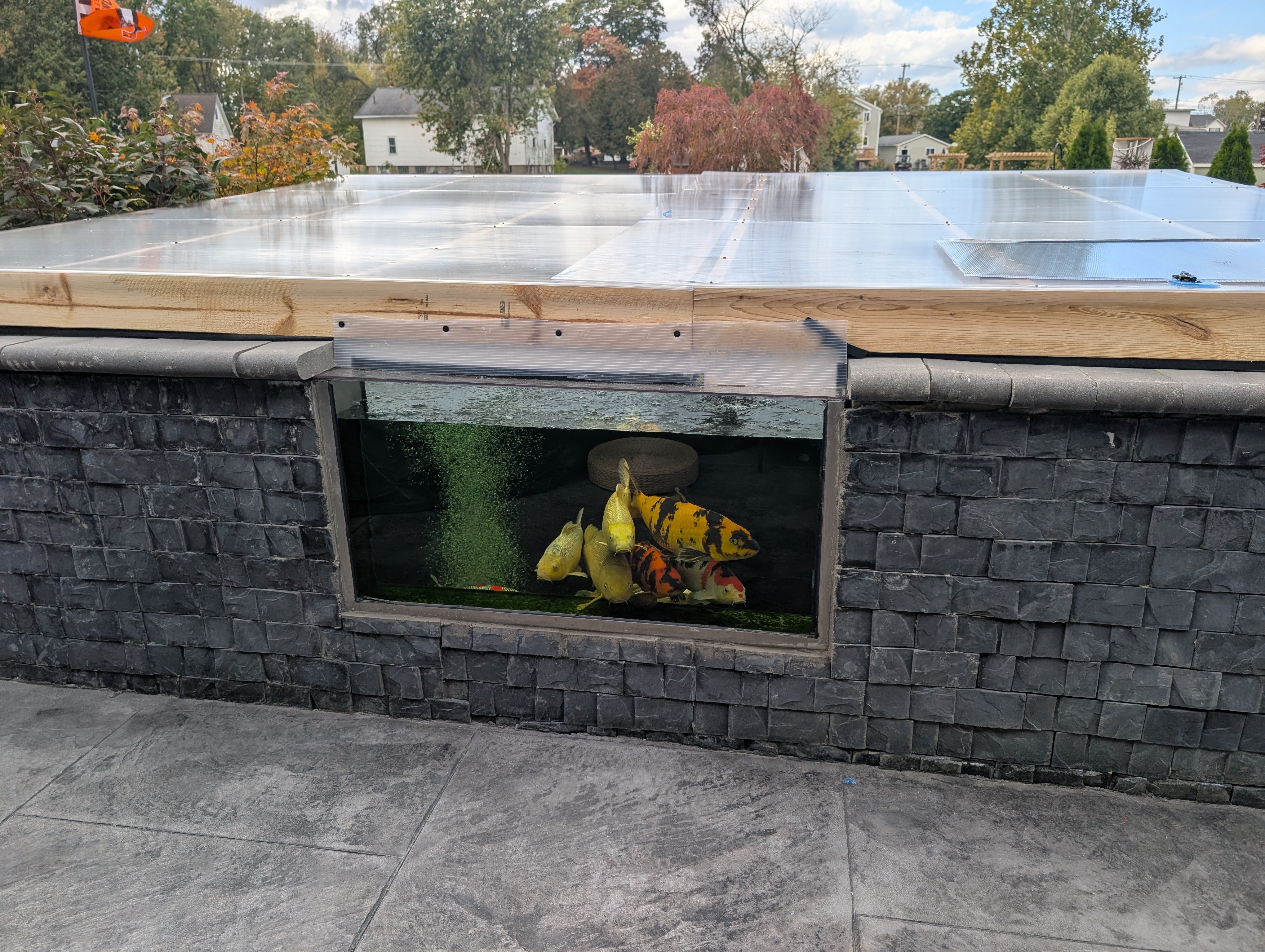 Customer photo: winter viewing through a Pond Portals koi window