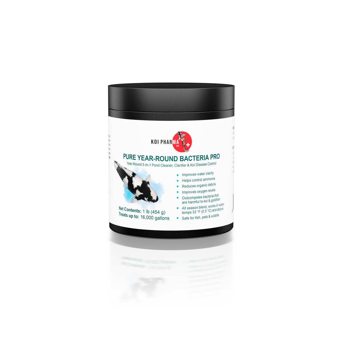 Koi Pharma Pure Year-Round Bacteria Pro