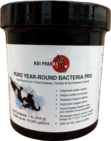 Koi PHarma Pure Year-Round Bacteria Pro