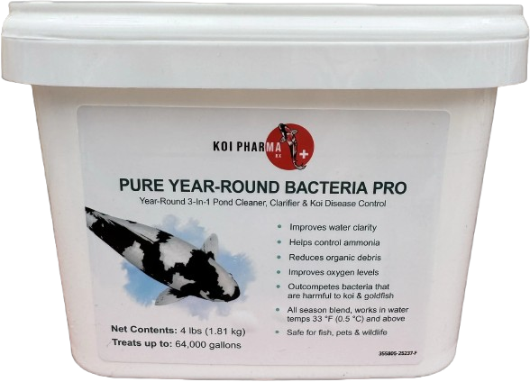 Koi PHarma Pure Year-Round Bacteria Pro