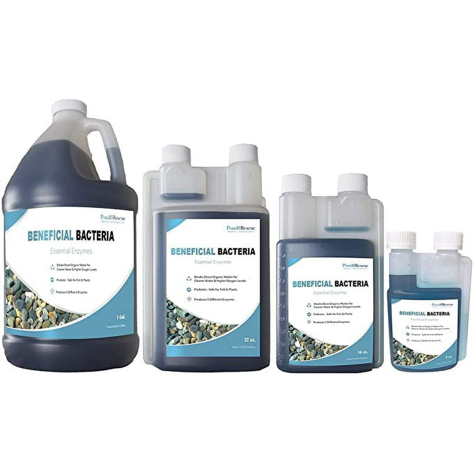 Bacterias beneficiosas para el rescate del estanque Anjon