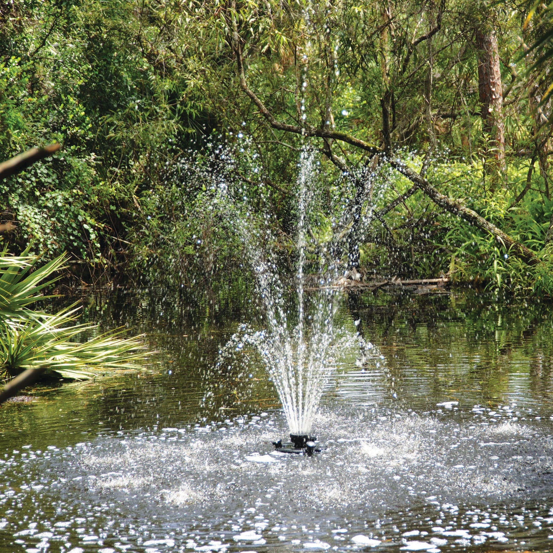 Oase Floating Fountains with Lights