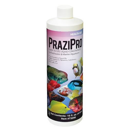 Hikari Prazipro 16oz - Default Title
