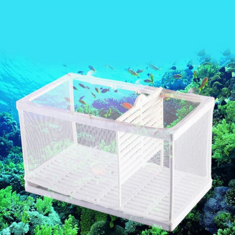 Large Aquarium Isolation Box