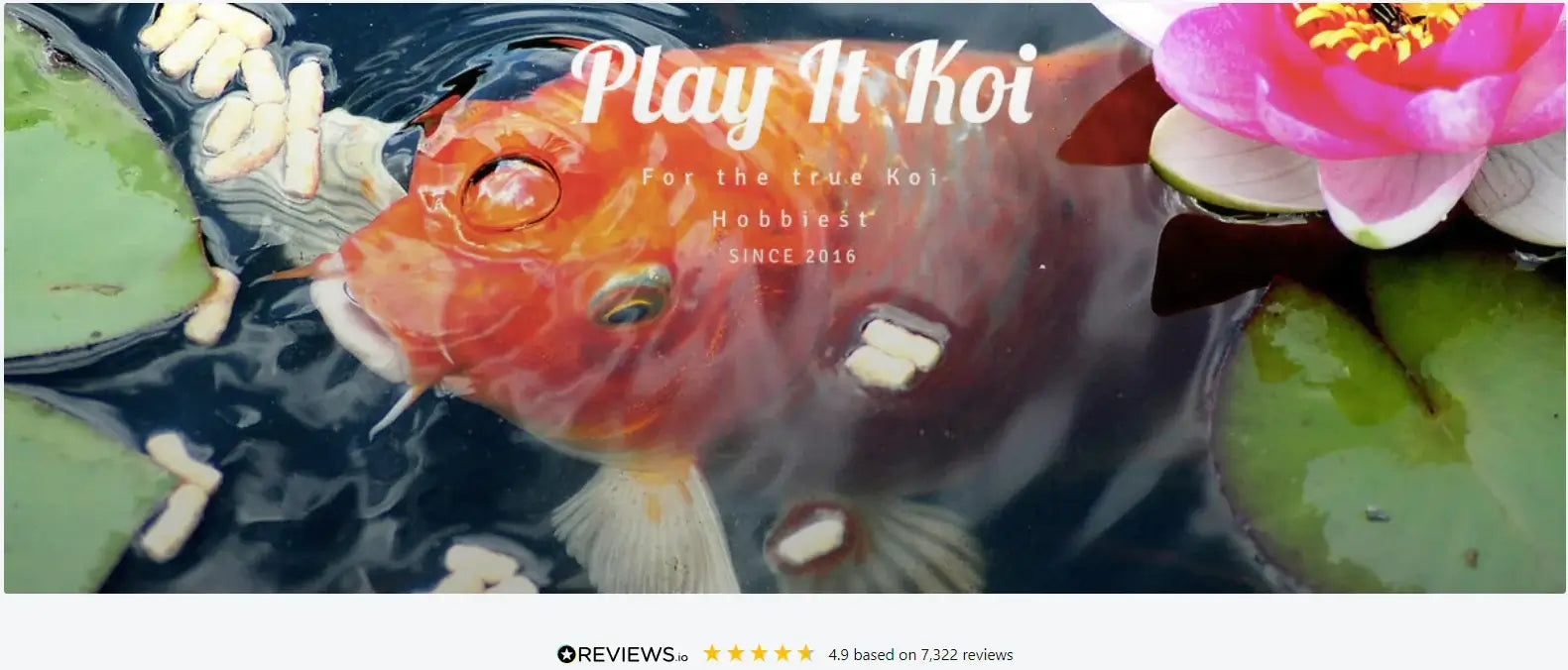 Play It Koi Home Page Image