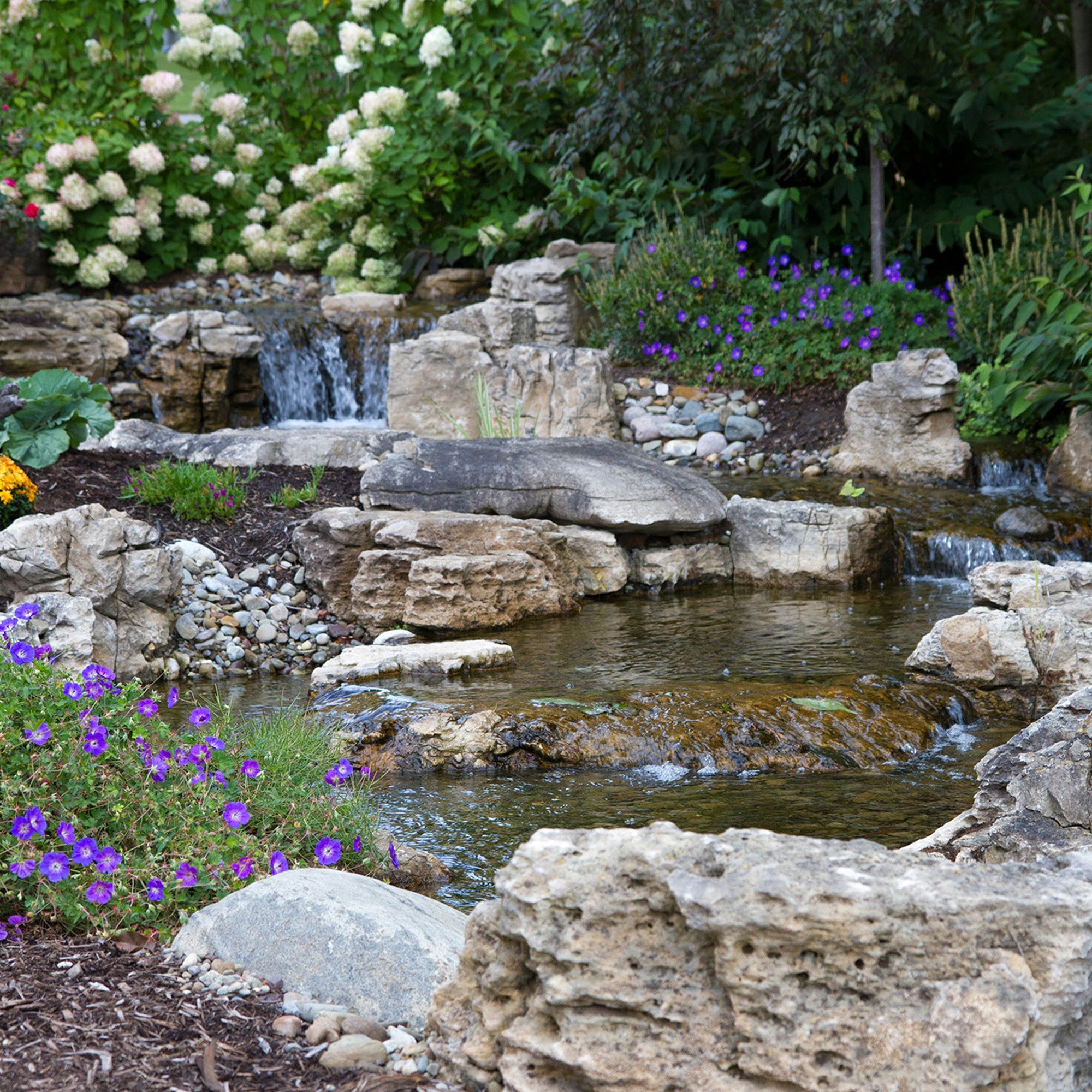 Atlantic Pond Free Kits Medium Large — installed lifestyle view