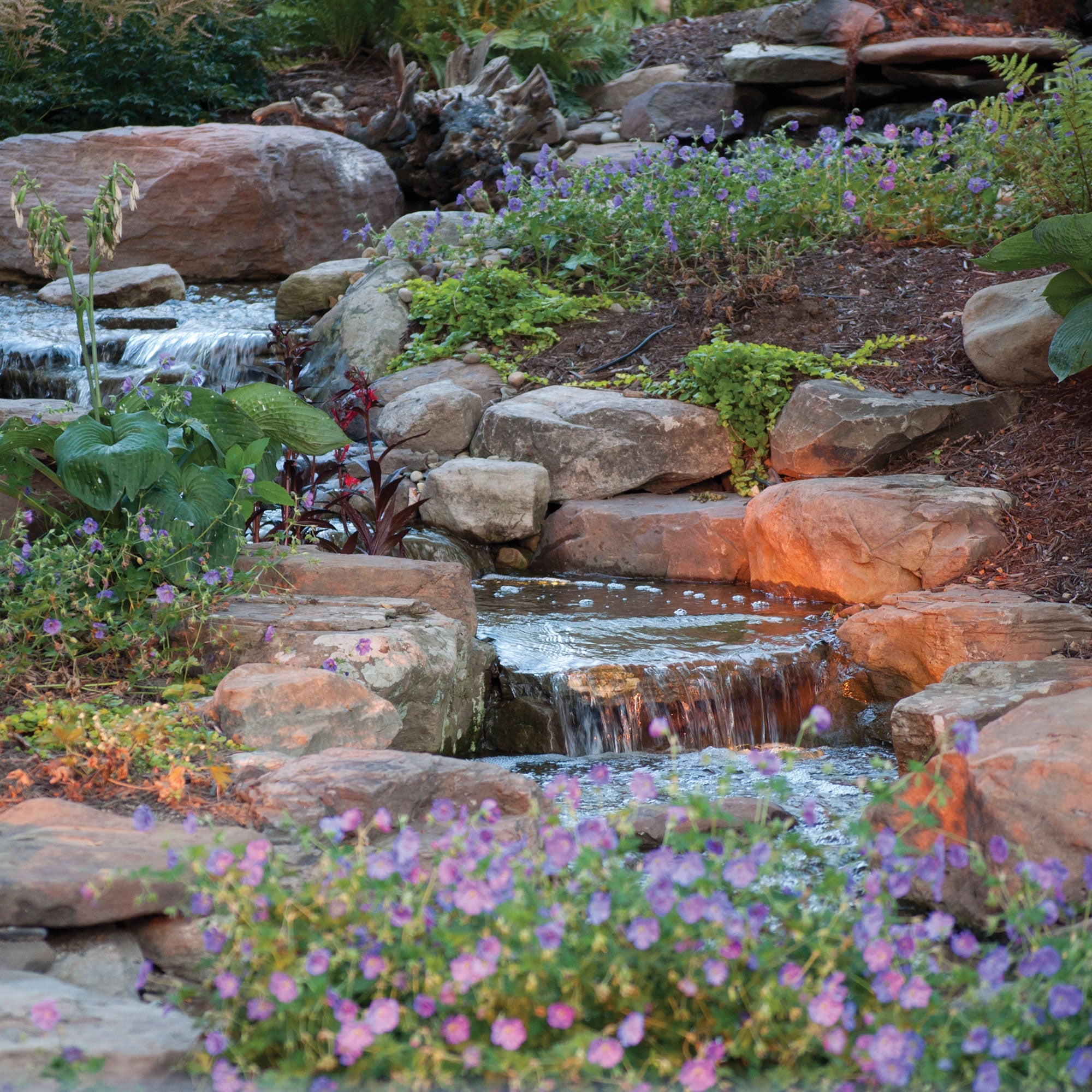 Atlantic Pond Free Kits Medium Large — installed lifestyle view