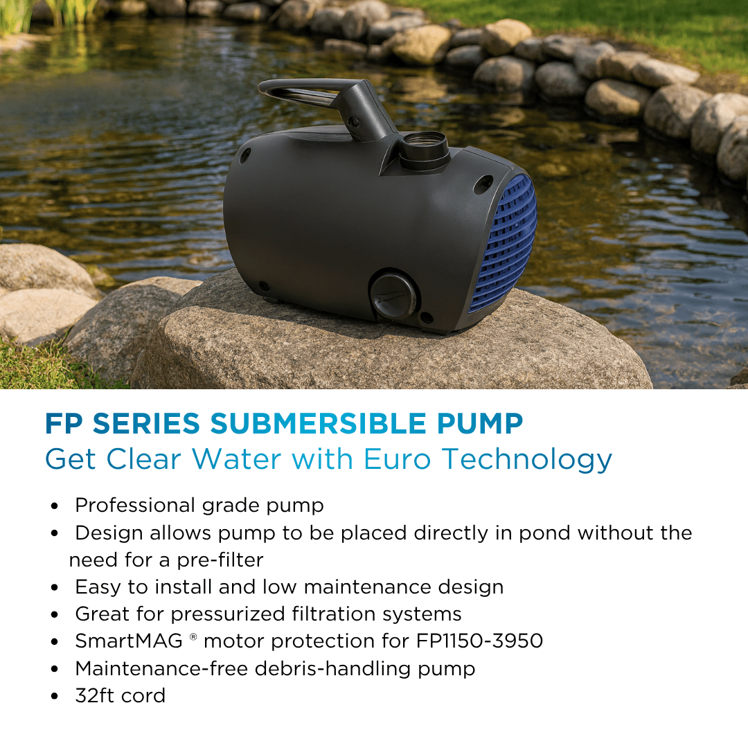 PondMAX Euro FP Series small-body pump on a pondside rock, with its feature list printed below the photo