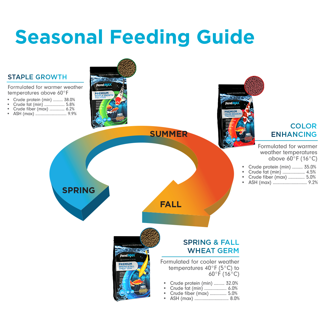 Seasonal feeding guide for pet food with product images and text on a white background
