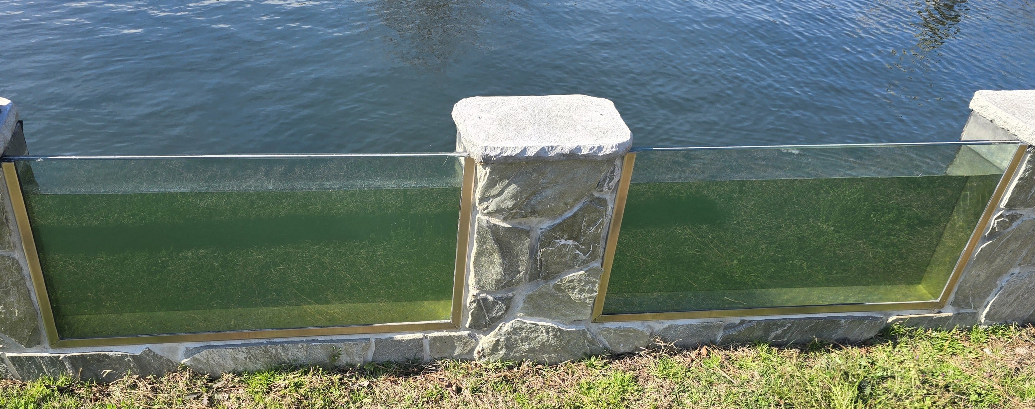 Pond Portals - Koi Viewing Window