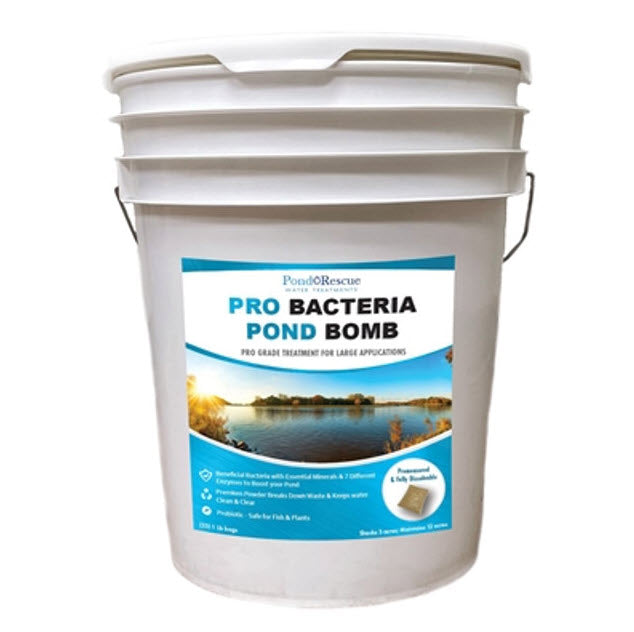 Anjon Pond Rescue Pro Bacteria