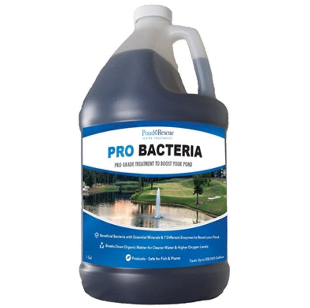Anjon Pond Rescue Pro Bacteria