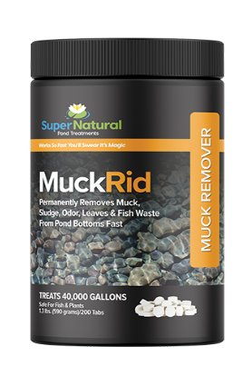 SuperNatural MuckRid Enzyme Tablets