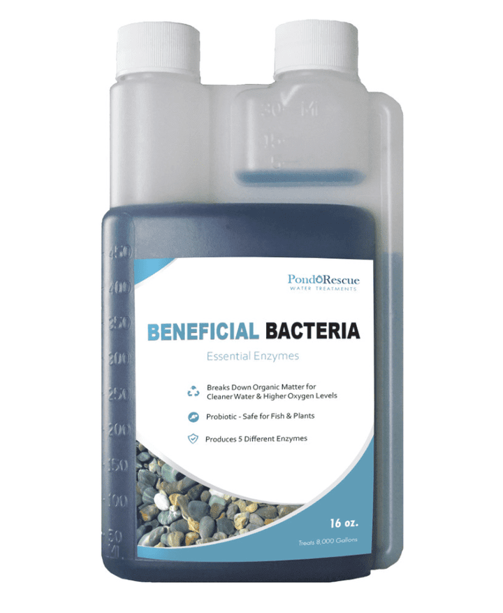 Bacterias beneficiosas para el rescate del estanque Anjon
