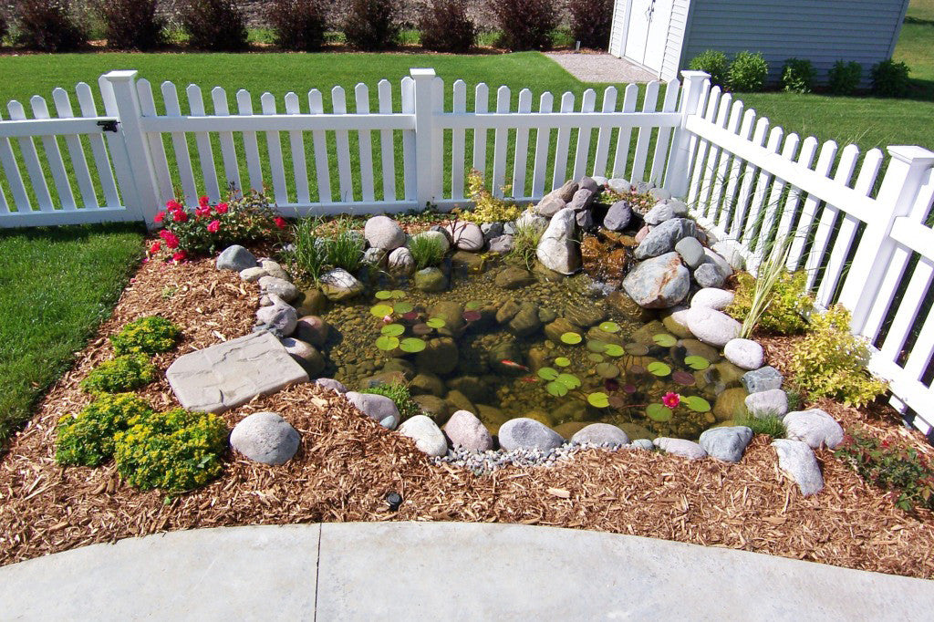 Blue Thumb DIY Pond Kits