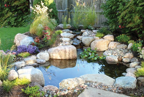 Blue Thumb DIY Pond Kits