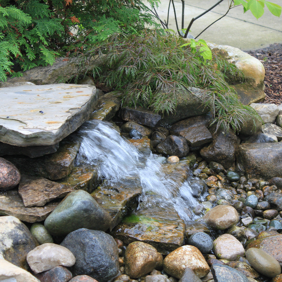 Blue Thumb DIY Cascading Falls Kits