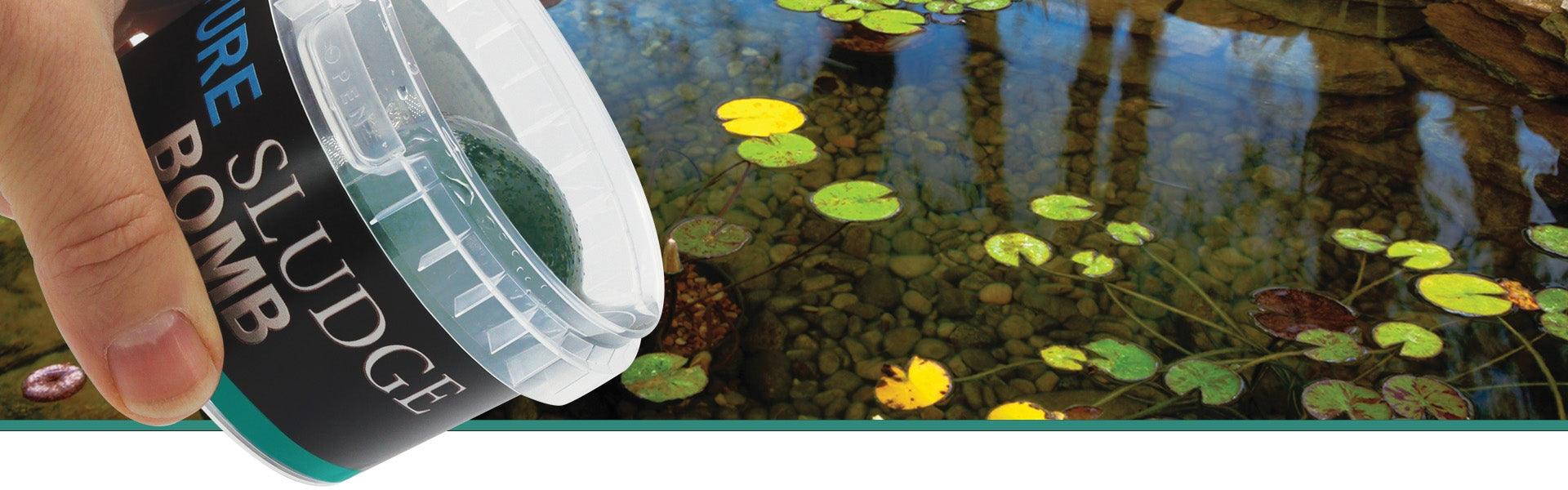 Evolution Aqua Pure Sludge Bomb - Play It Koi