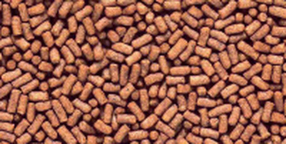 Saki-Hikari Fancy Goldfish pellet size reference