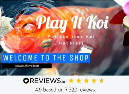 Play It Koi Home page Image