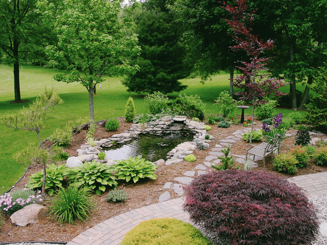 Blue Thumb DIY Pond Kits