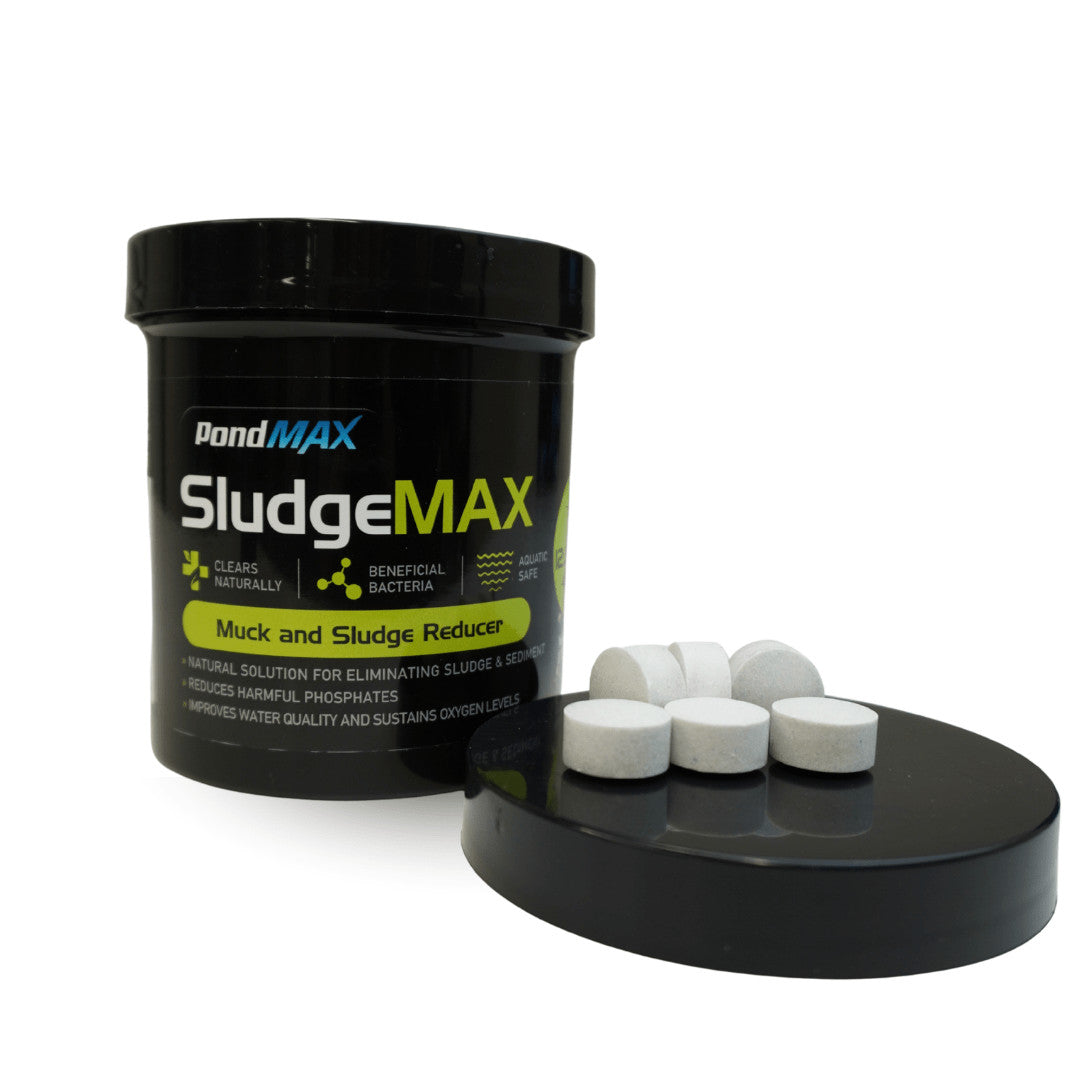 PondMAX SludgeMAX Natural Sludge Remover - Play It Koi
