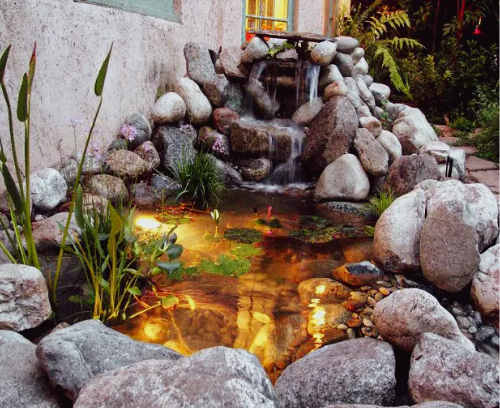 Blue Thumb DIY Pond Kits