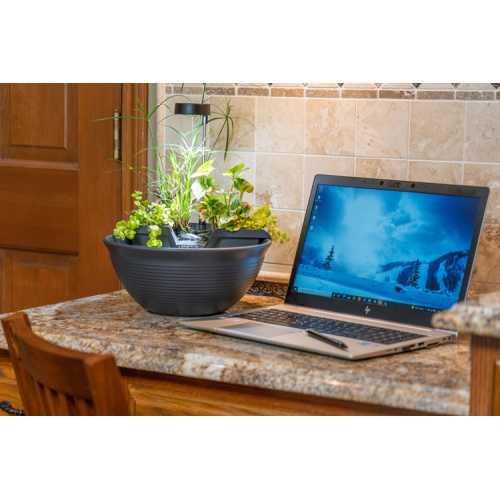 AquaGarden Tabletop Fountain Kit - Play It Koi