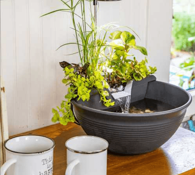 AquaGarden Tabletop Fountain Kit - Play It Koi