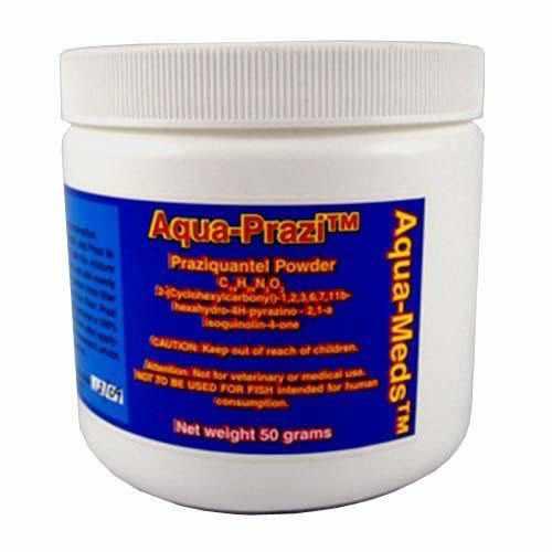 AquaMeds Aqua Prazi Koi Care Pond Treatment Fluke Parasite - Play It Koi