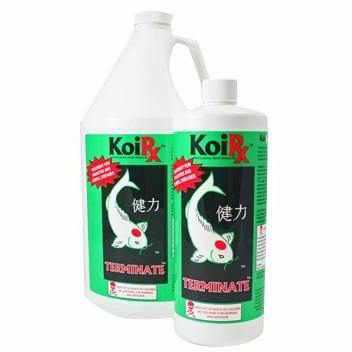 AquaMeds KoiRx Terminate - Koi Parasite Treatment - Play It Koi