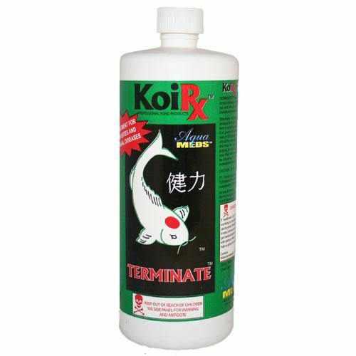 AquaMeds KoiRx Terminate - Koi Parasite Treatment - Play It Koi
