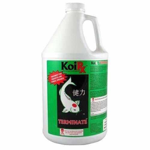 AquaMeds KoiRx Terminate - Koi Parasite Treatment - Play It Koi