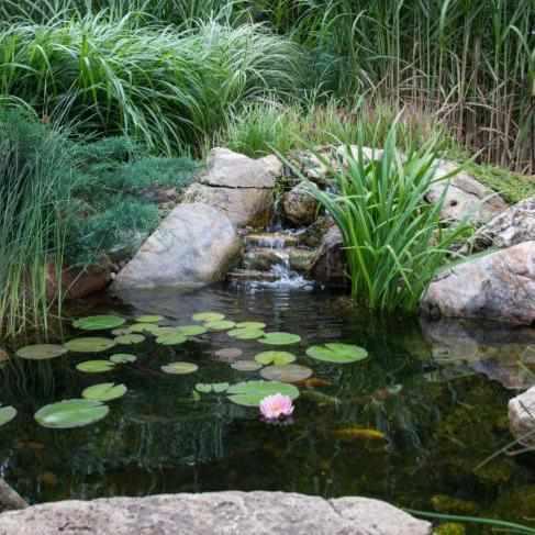 Aquascape 4' X 6' Aquascape DIY Backyard Pond Kit (MPN 99763) - Play It Koi