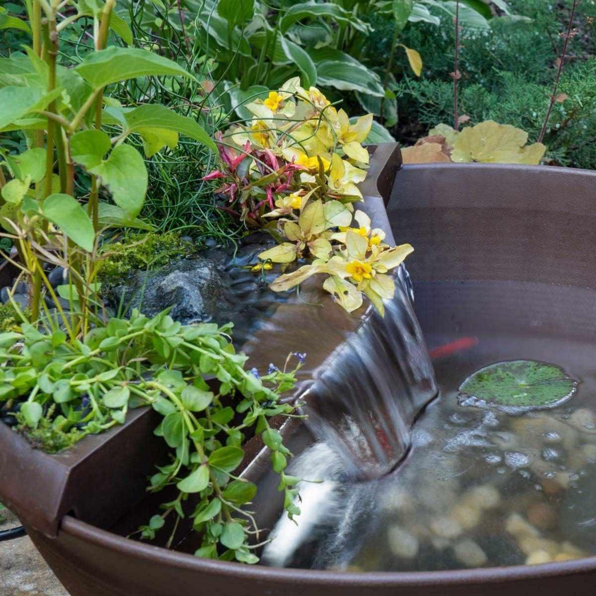 Aquascape AquaGarden Mini Pond Kit - Play It Koi