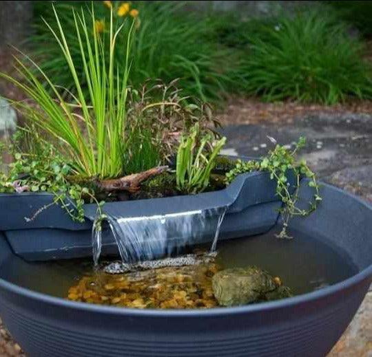 Aquascape AquaGarden Mini Pond Kit - Play It Koi