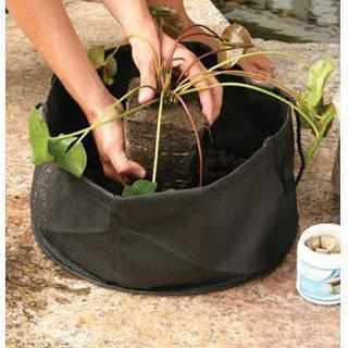 aquatic planter pot Aquatic Lily Planter