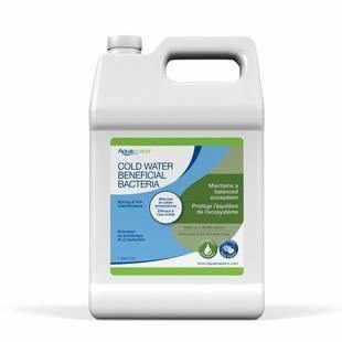 Aquascape Cold Water Beneficial Bacteria for Ponds - Play It Koi