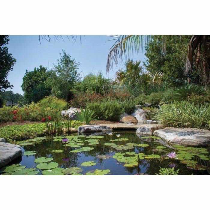 Aquascape Large Pond Kit 21x26 with 9PL - 7000 Pump - Play It Koi