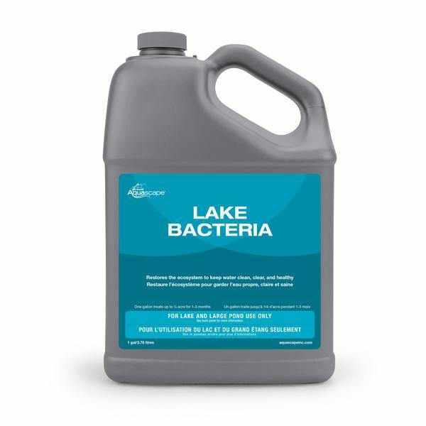 Aquascape Liquid Lake Bacteria - 1 Gal - Play It Koi