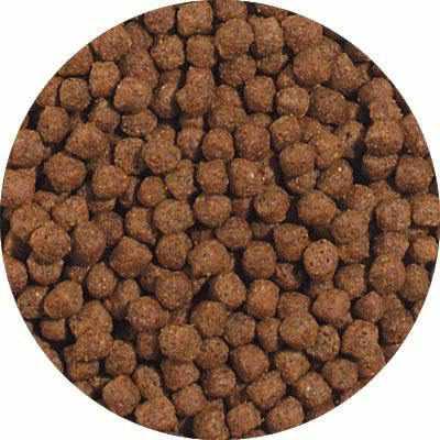 Blue Ridge Growth Large Pellet Formula Koi & Goldfish Food - Play It Koi